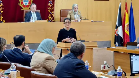  Kissy Chandiramani, consejera de Hacienda, durante su intervenci&oacute;n inicial en el Pleno de Presupuestos / Laura Ortiz 