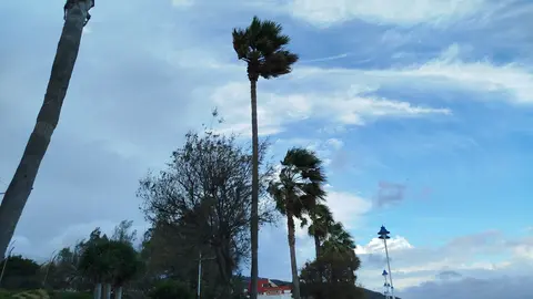 Temporal Herminia