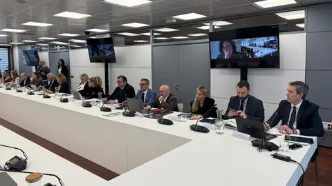 Junta Directiva de la Real Federaci&oacute;n Espa&ntilde;ola de F&uacute;tbol (RFEF) / RFFCE