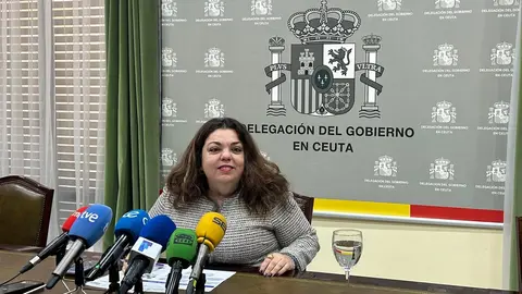 Cristina P&eacute;rez, delegada del Gobierno, comparece ante los medios / E.A.