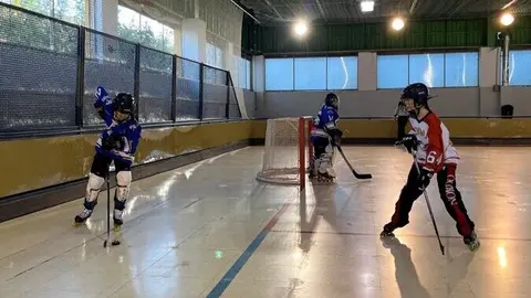 Bulldogs Hockey