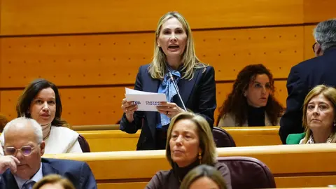 La senadora popular Cristina D&iacute;az
