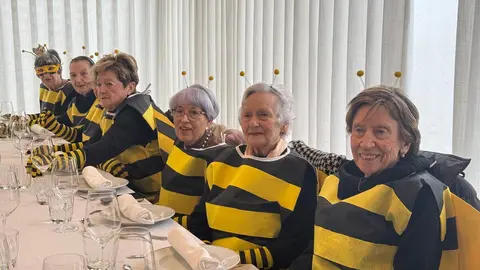 Carnaval de los Mayores / M.Zapico