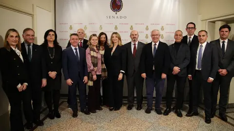 Los senadores de Canarias, Baleares, Ceuta y Melilla exigen al Gobierno el pago inmediato de las bonificaciones al transporte a&eacute;reo