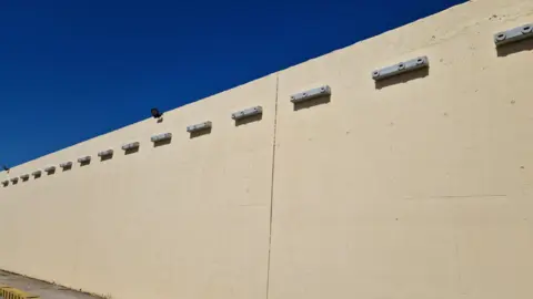 Nidales en la estaci&oacute;n mar&iacute;tima / Autoridad Portuaria