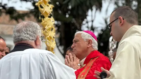 Bendici&oacute;n de palmas / M.Zapico
