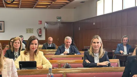 La Comisi&oacute;n de Econom&iacute;a, Comercio y Empresa aprueba tres mociones / Senado