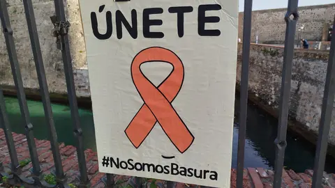 Lazo naranja mascotas