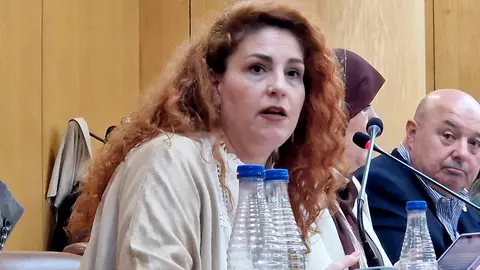  La diputada Julia Ferreras durante su intervenci&oacute;n de este mi&eacute;rcoles / Laura Ortiz 