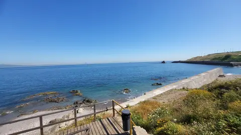 Playa Corrales perros cielo despejado