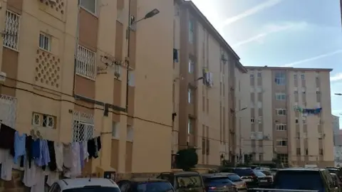  Manzanera / Archivo 