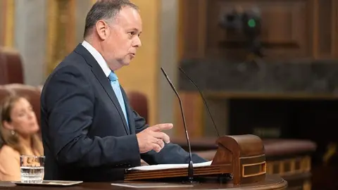 Javier Celaya Congreso de los Diputados