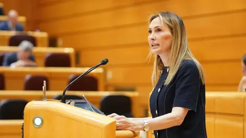 La senadora popular, Cristina D&iacute;az, durante su intervenci&oacute;n