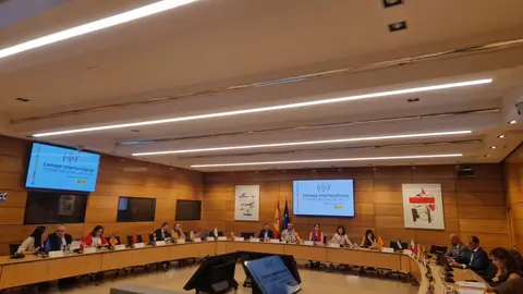 consejo_interterritorial_1