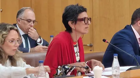  La consejera de Hacienda responde a las acusaciones del PSOE en la sesi&oacute;n de control / Laura Ortiz 