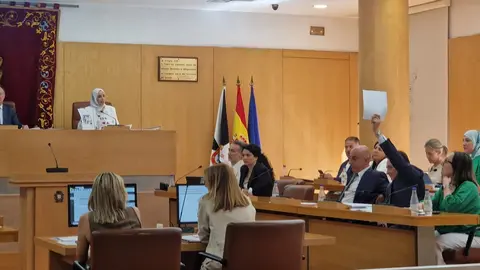 Pleno de la Asamblea / L. Ortiz