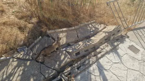 Condiciones en las que qued&oacute; el muro de acceso a la calle Miguel Arruda