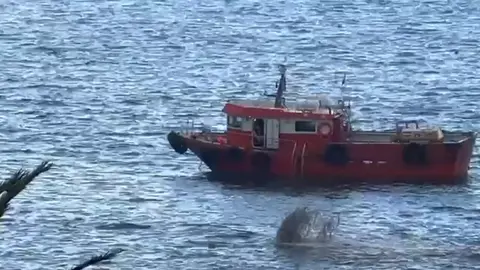 Captura de un momento del video subido a redes