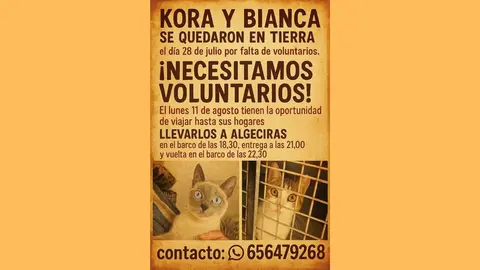 Kora y Bianca necesitan un voluntario que se acompa&ntilde;e a Algeciras