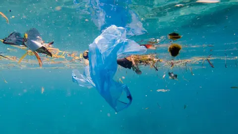El 80% de la contaminaci&oacute;n marina est&aacute; generada en entornos terrestres / SEO/BirdLife