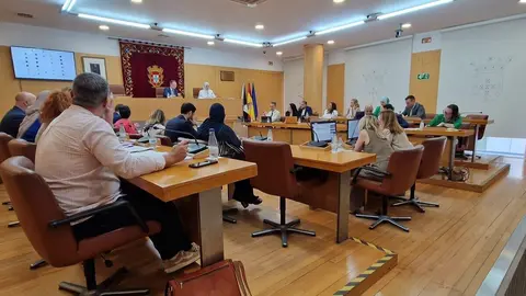 Pleno de la Asamblea / Archivo