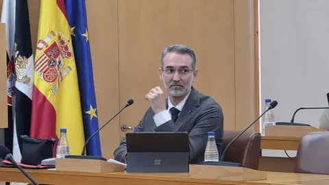  Sebasti&aacute;n Guerrero durante el Pleno. 