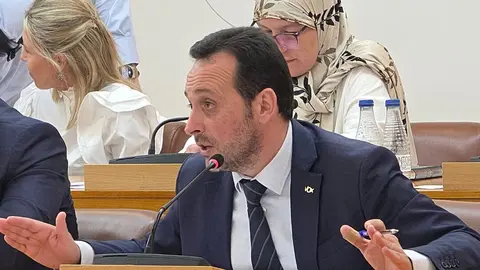  Juan Sergio Redondo, portavoz de Vox, durante la sesi&oacute;n plenaria de este jueves / Laura Ortiz 