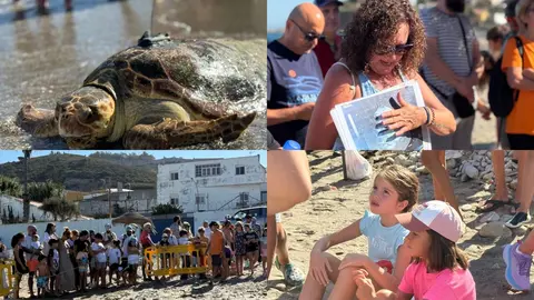 Liberaci&oacute;n tortuga marina CECAM / M.Zapico
