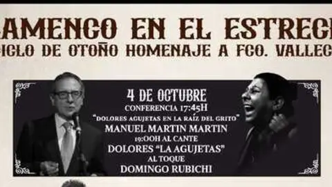 flamenco en el estrecho