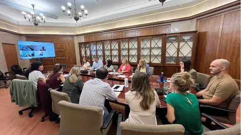 Mesa Sectorial INGESA 2025 / CEMSATSE
