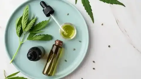  CBD en Ceuta &iquest;por qu&eacute; est&aacute;n en aumento los CBD Shops? 