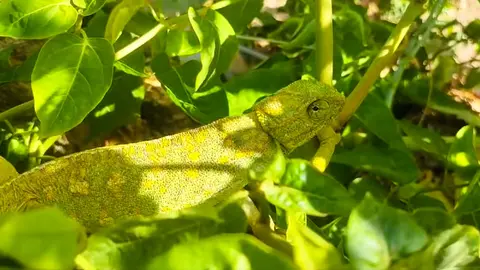 Captura de pantalla (183)