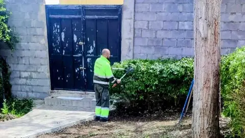 Brigadas verdes