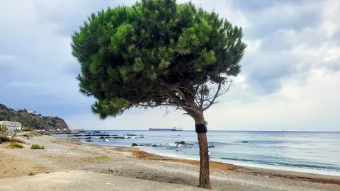 Playa Ben&iacute;tez el tiempo nublado