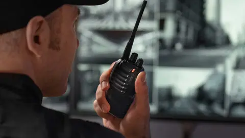 Guardia seguridad, vigilante