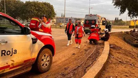cruz roja dana