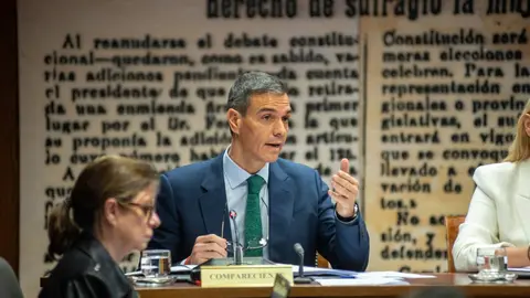 Pedro S&aacute;nchez