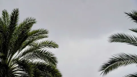 Lluvia temporal M.Zapico