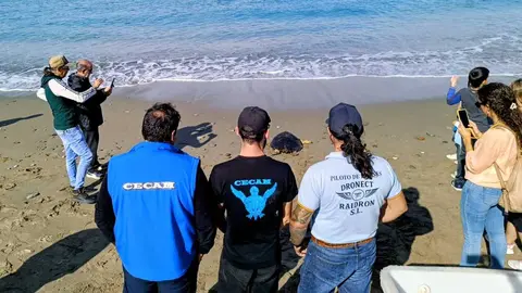Cecam suelta de tortugas drones