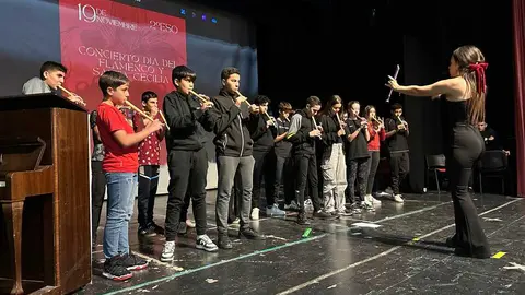 concierto santa cecilia