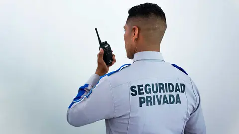consultores-de-seguridad-capacitados