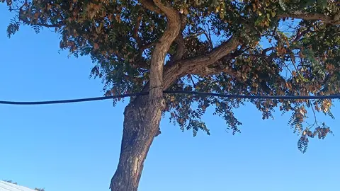 597420647_122276979956224372_382218137076769061_n