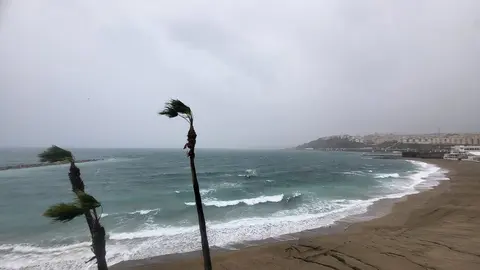 Viento temporal