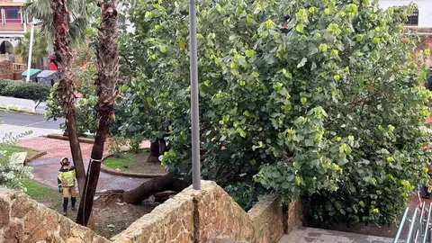 626691753_122288437904224372_5998625996382635218_n