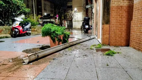 Elementos derribados por el viento/ S. I