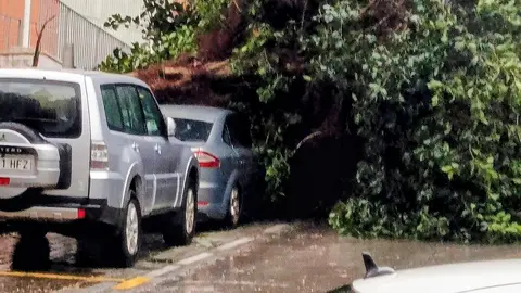 Un &aacute;rbol ca&iacute;do en las inmediaciones del pabell&oacute;n Guillermo Molina deja varios coches muy da&ntilde;ados