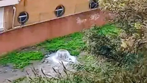 La borrasca Leonardo deja su propia &ldquo;fuente&rdquo; en San Daniel