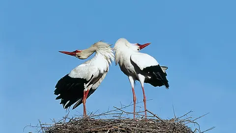 F121_Foto_03