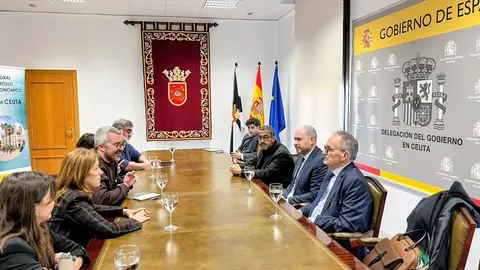 Encuentro del secretario de Estado de Sanidad con P&eacute;rez Triano