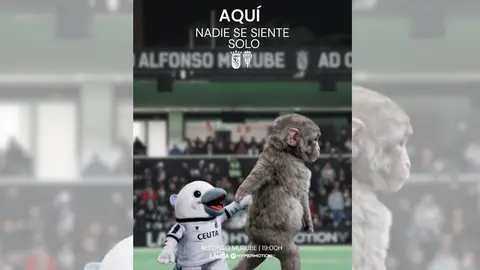 Dise&ntilde;o sin t&iacute;tulo (18)
